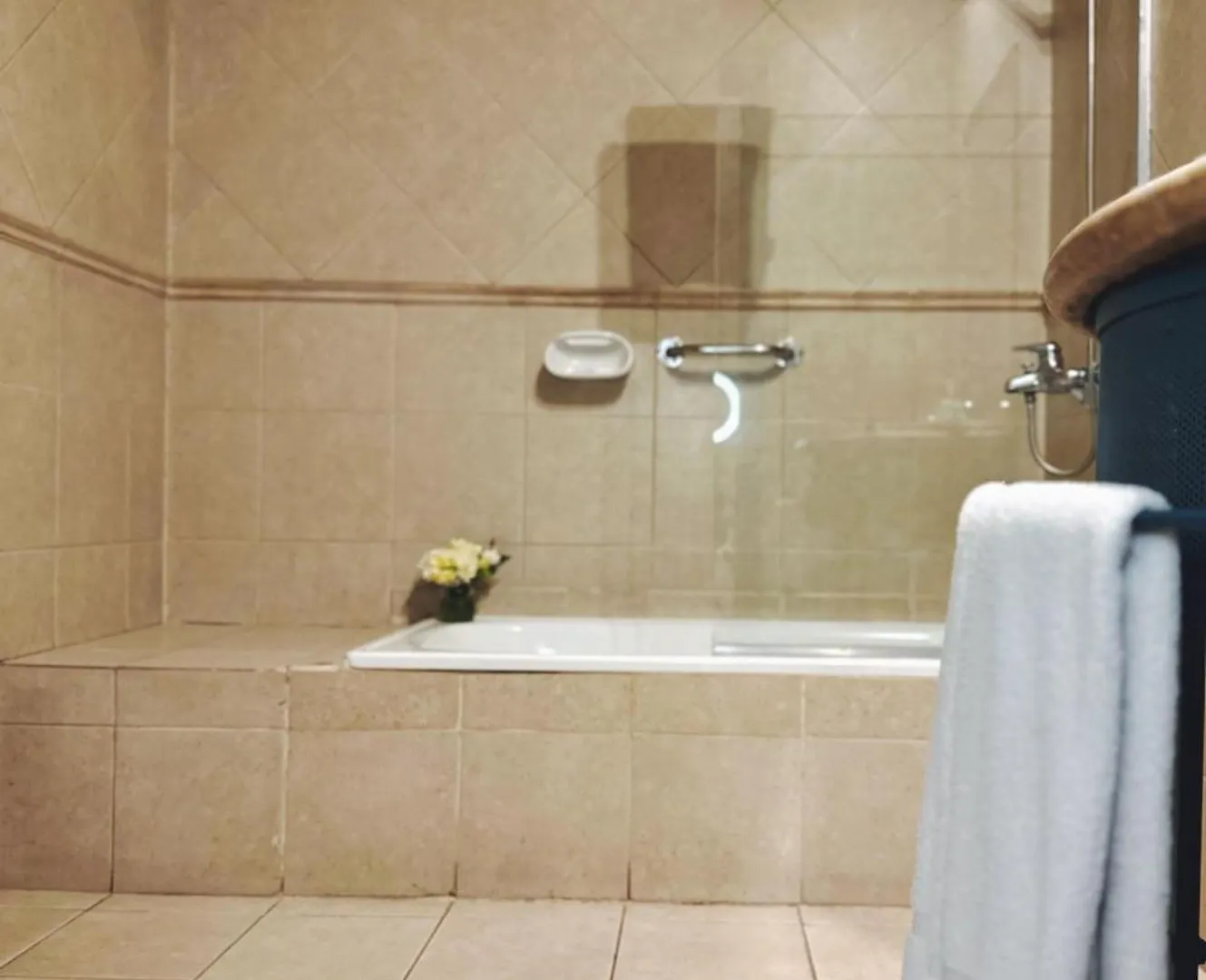 Argentino Hotel Mendoza